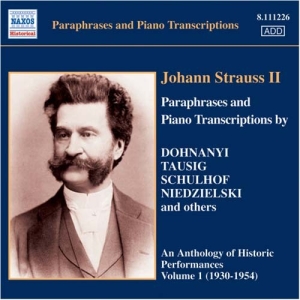 Various - Johann Strauss Ii Piano Transcripti ryhmässä CD @ Bengans Skivbutik AB (646371)