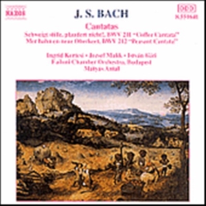 Bach Johann Sebastian - Cantatas ryhmässä Externt_Lager / Naxoslager @ Bengans Skivbutik AB (647971)