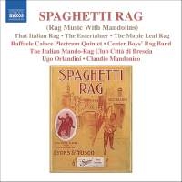 Various Composers - Rag Music With Mandolin ryhmässä CD @ Bengans Skivbutik AB (649844)