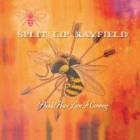 Split Lip Rayfield - Should Have Seen It Coming ryhmässä CD @ Bengans Skivbutik AB (650245)
