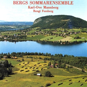Schnittke Finzi - Bergs Summer Ensamble ryhmässä Externt_Lager / Naxoslager @ Bengans Skivbutik AB (651157)