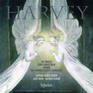Harvey - The Angels ryhmässä Externt_Lager / Naxoslager @ Bengans Skivbutik AB (651446)