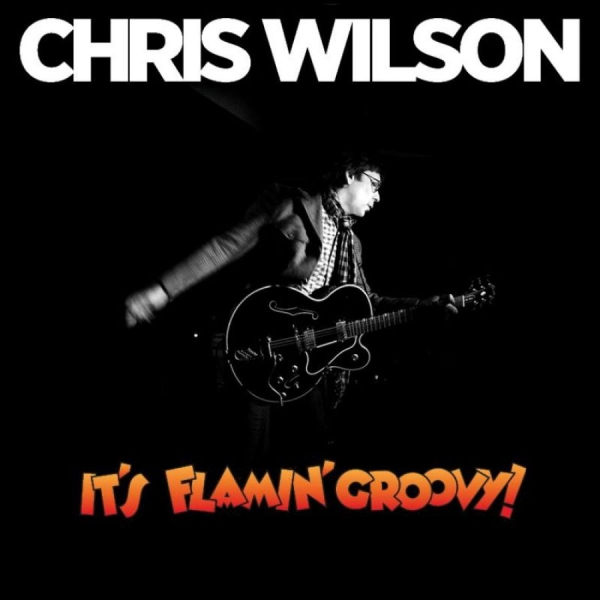 Wilson Chris - It's Flamin' Groovy ryhmässä CD / Rock @ Bengans Skivbutik AB (652888)