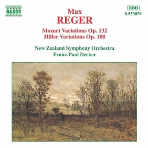 Reger Max - Variation And Fuguss Opp 100 & ryhmässä CD @ Bengans Skivbutik AB (655219)