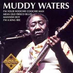 Waters Muddy - Muddy Waters Gold ryhmässä CD @ Bengans Skivbutik AB (655881)