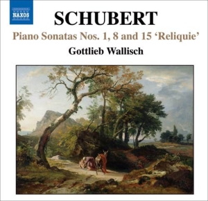 Schubert - Unfinished Sonatas ryhmässä Externt_Lager / Naxoslager @ Bengans Skivbutik AB (656599)