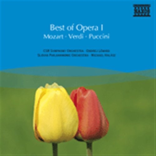 Various - Best Of Opera I ryhmässä CD / Myydyimmät @ Bengans Skivbutik AB (658820)