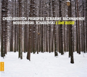 Various Composers - Russian Soul ryhmässä Externt_Lager / Naxoslager @ Bengans Skivbutik AB (659039)