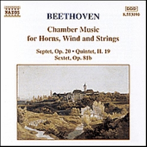 Beethoven Ludwig Van - Chamber Music ryhmässä Externt_Lager / Naxoslager @ Bengans Skivbutik AB (662104)