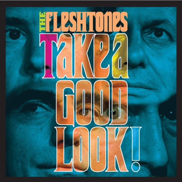 Fleshtones The - Take A Good Look ryhmässä CD / Rock @ Bengans Skivbutik AB (666872)