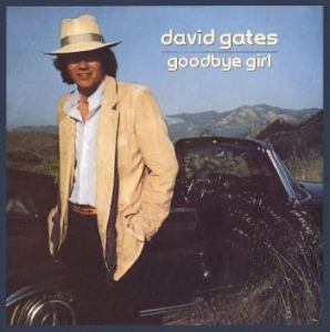 Gates David - Goodbye Girl ryhmässä CD / Pop-Rock @ Bengans Skivbutik AB (667145)