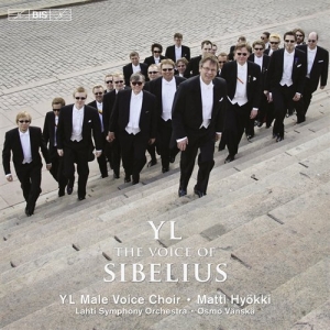 Sibelius - Yl - The Voice Of Sibelius ryhmässä Externt_Lager / Naxoslager @ Bengans Skivbutik AB (672996)