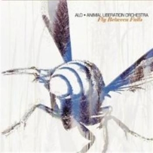 Alo - Fly Between Falls ryhmässä CD / Pop @ Bengans Skivbutik AB (675922)