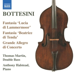 Bottesini - Passioni Amorose ryhmässä Externt_Lager / Naxoslager @ Bengans Skivbutik AB (686748)