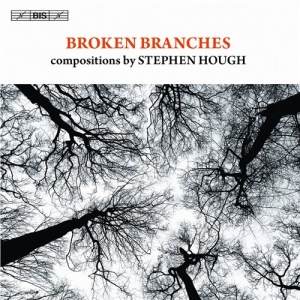 Stephen Hough - Broken Branches ryhmässä Externt_Lager / Naxoslager @ Bengans Skivbutik AB (691656)
