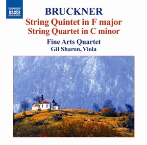 Bruckner - String Quintet In F Major ryhmässä CD @ Bengans Skivbutik AB (691987)