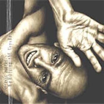 Infernal Poetry - Beholding The Unpure ryhmässä CD @ Bengans Skivbutik AB (692555)