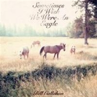 Callahan Bill - Sometimes I Wish We Were An Eagle ryhmässä CD @ Bengans Skivbutik AB (695781)