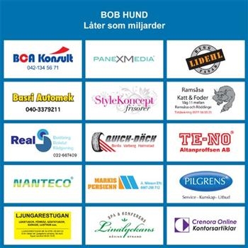 Bob Hund - Låter Som Miljarder ryhmässä CD / Pop @ Bengans Skivbutik AB (697751)