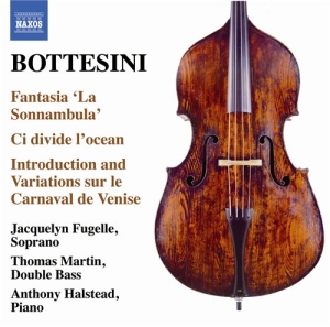 Bottesini - Chamber And Vocal Works ryhmässä CD @ Bengans Skivbutik AB (698085)