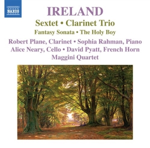 Ireland - Sextet ryhmässä Externt_Lager / Naxoslager @ Bengans Skivbutik AB (698280)