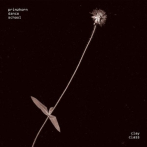 Prinzhorn Dance Scho - Clay Class ryhmässä CD / Pop-Rock @ Bengans Skivbutik AB (699556)