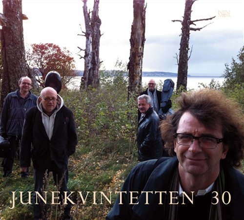 Various - Junekvintetten 30 ryhmässä -Start JazzKlass Summer @ Bengans Skivbutik AB (699931)