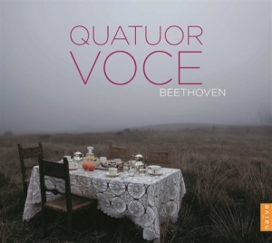 Beethoven - String Quartets ryhmässä CD @ Bengans Skivbutik AB (706861)