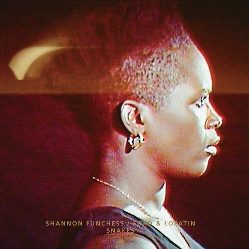 Ford And Lopatim  Shannon Func - Snakes  Flying Dream ryhmässä VINYYLI / Pop @ Bengans Skivbutik AB (780671)