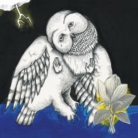 Songs: Ohia - Magnolia Electric Co. (Deluxe Ed.) ryhmässä VINYYLI @ Bengans Skivbutik AB (780812)