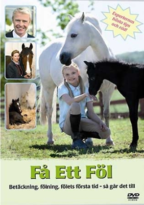 Film - Få Ett Föl ryhmässä Elokuva / Elokuva DVD @ Bengans Skivbutik AB (825234)