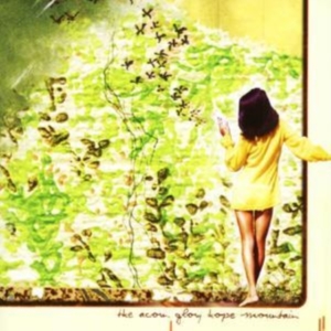 Acorn - Hope Glory Mountain ryhmässä CD / Pop-Rock @ Bengans Skivbutik AB (928507)