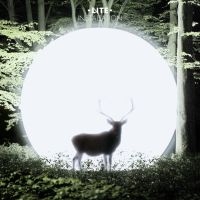 Lite - Installation ryhmässä CD @ Bengans Skivbutik AB (946581)