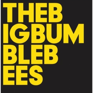 Big Bumble Bees The - The Big Bumble Bees ryhmässä CD / Pop-Rock,Svensk Folkmusik @ Bengans Skivbutik AB (946714)