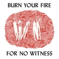 Angel Olsen - Burn Your Fire For No Witness ryhmässä CD / Pop-Rock @ Bengans Skivbutik AB (949469)