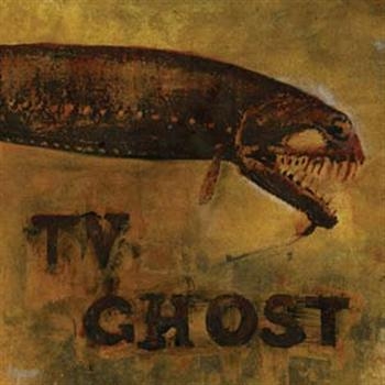 Tv Ghost - Cold Fish ryhmässä CD / Rock @ Bengans Skivbutik AB (956458)