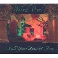 Weird Owl - Build Your Beast A Fire ryhmässä CD @ Bengans Skivbutik AB (957072)