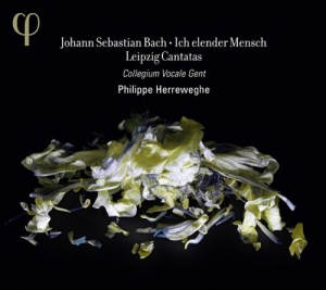 Bach - Ich Elender Mensch ryhmässä CD @ Bengans Skivbutik AB (985897)