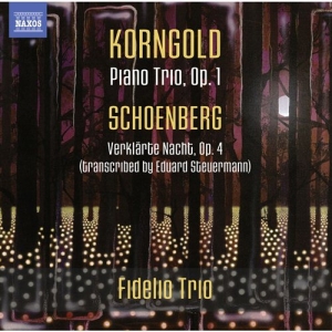 Korngold / Schoenberg - Piano Trios ryhmässä CD @ Bengans Skivbutik AB (986936)