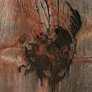 Avey Tare's Slasher Flicks - Enter The Slasher House ryhmässä CD @ Bengans Skivbutik AB (992288)