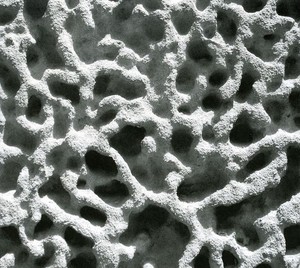 Partipilo/ Okazaki/ Weiss - I Like Too Much