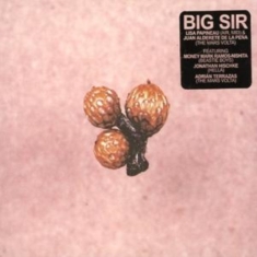 Big Sir - Und Die Scheibe Andert Sichimmer