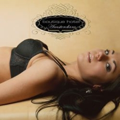 Various Artists - Boutique Hotel Amsterdam ryhmässä CD @ Bengans Skivbutik AB (1026194)