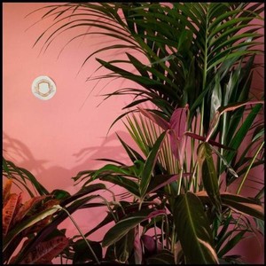Beaty Heart - Mixed Blessings (Vinyl)