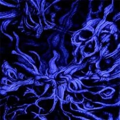 Esoterica - Aseity ryhmässä CD @ Bengans Skivbutik AB (1057303)