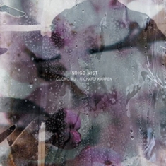 Indigo Mist - That The Days Go By And Never... (1 ryhmässä VINYYLI @ Bengans Skivbutik AB (1100029)