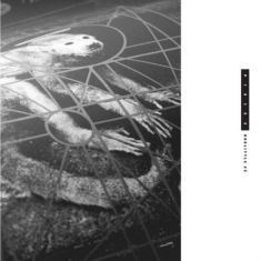 Pixies - Doolittle 25