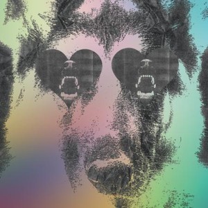 Crocodiles - Boys