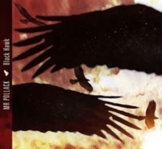 Mr Pollack - Black Hawk