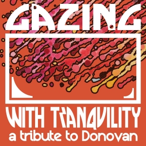 Various Artists - Gazing With Tranquility:Tribute To